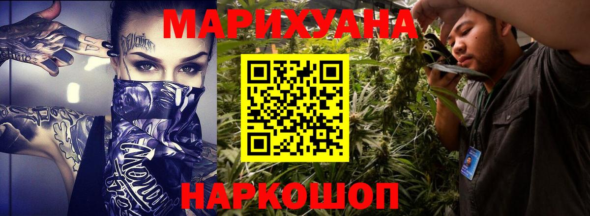 Каннабис индика Зима